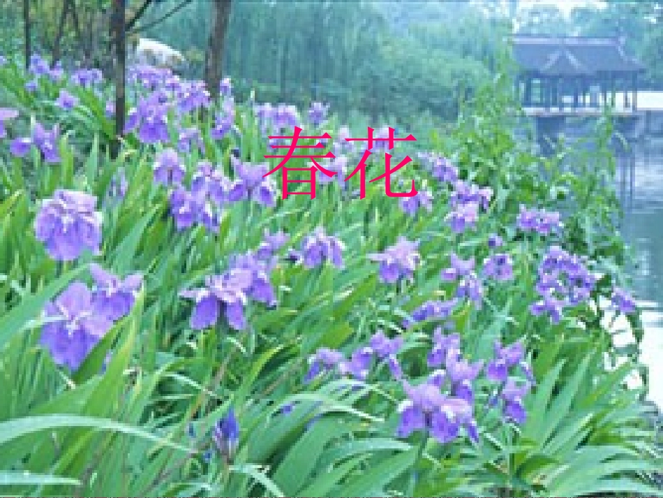 (中小学精品）大自然的语言课件_第2页