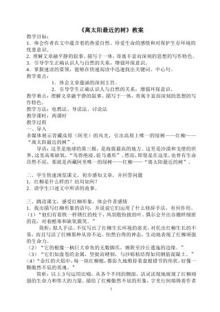 《离太阳最近的树》教案