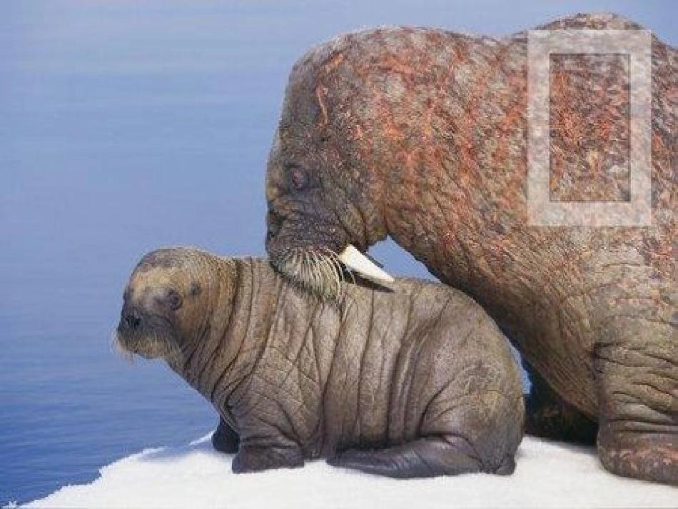 甜甜的泥土正式稿_第3页