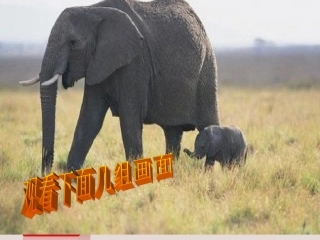 甜甜的泥土正式稿