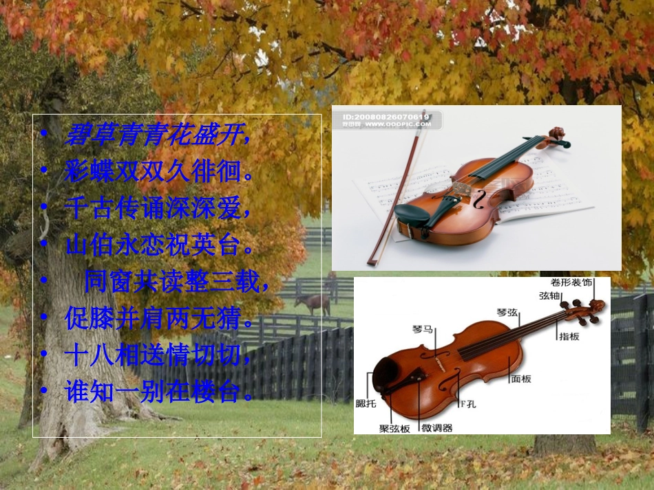 梁祝音乐课件_第1页