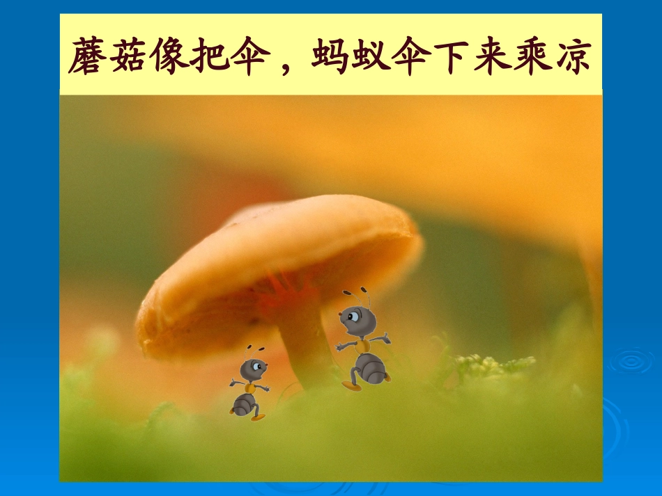 中班诗歌《伞》_第3页