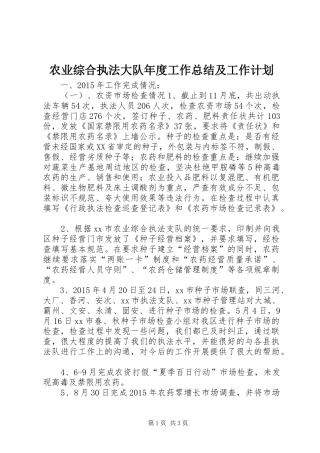 农业综合执法大队年度工作总结及工作计划