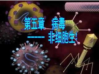 人教版八年级生物上册第五章《病毒》