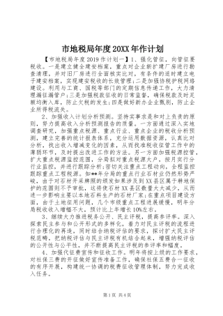 市地税局年度20XX年作计划