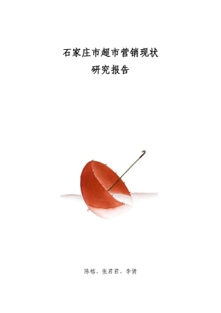 石家庄市超市营销现状p27
