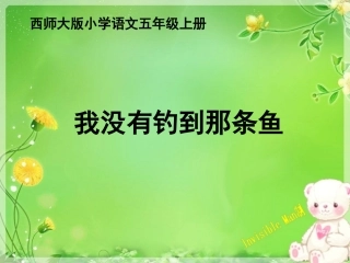 《我没有钓到那条鱼》