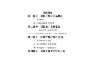 营销推广方案(成)