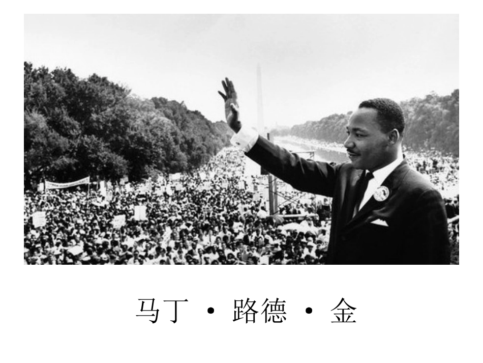 （中小学精品）黑孩子罗伯特_第2页