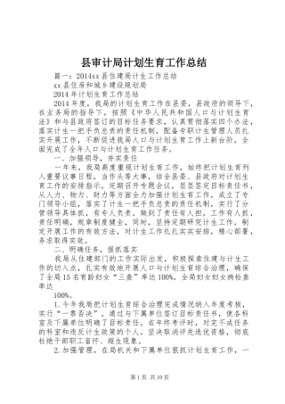 县审计局计划生育工作总结