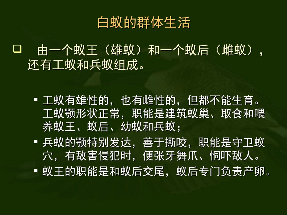 动物的社会行为_第3页