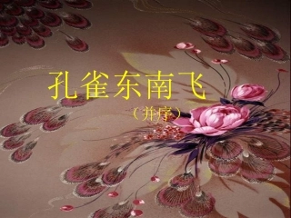 射洪中学精品教案孔雀东南飞定稿