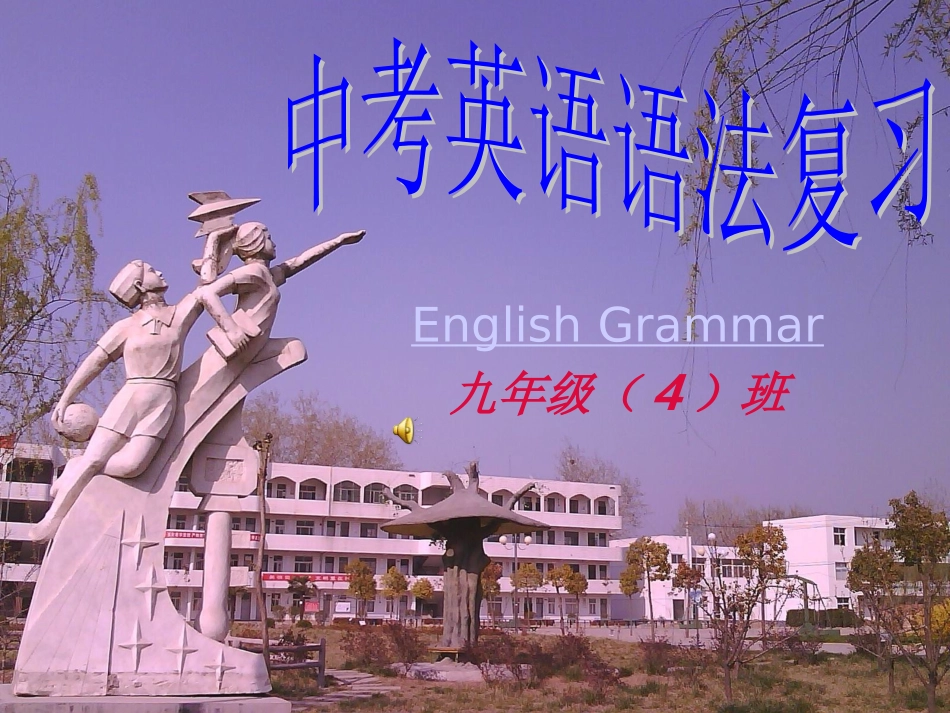 名词复习公开课_第1页