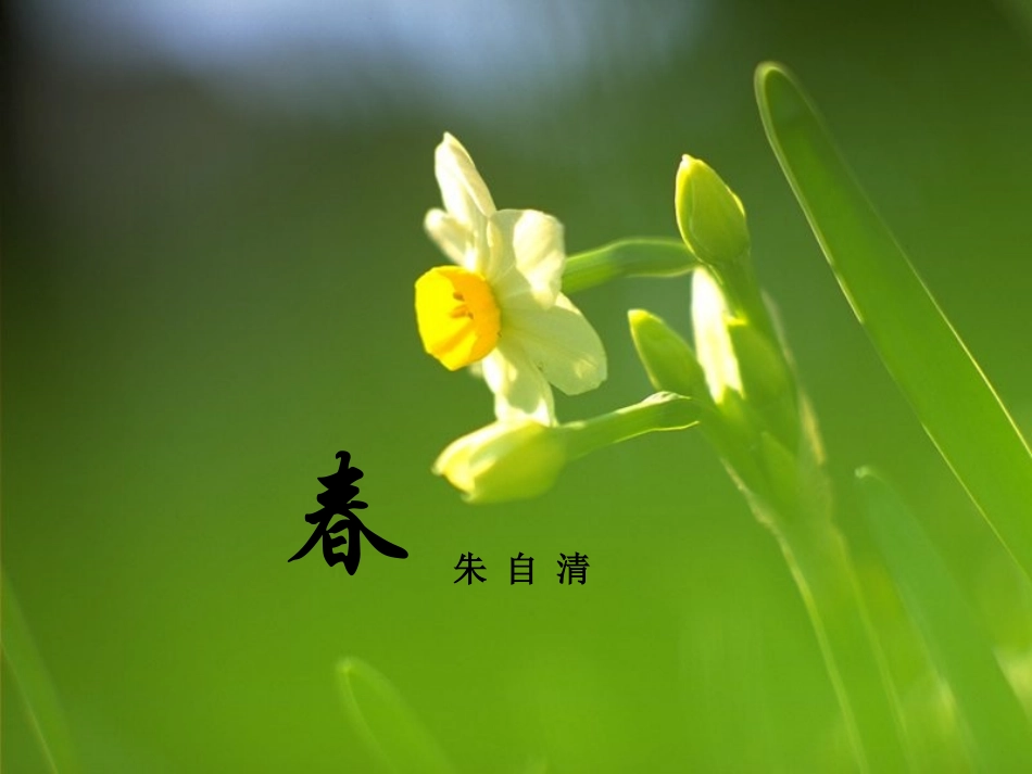 春（邹艳琼）_课件_第3页