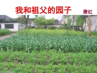 《我和祖父的园子》已修改