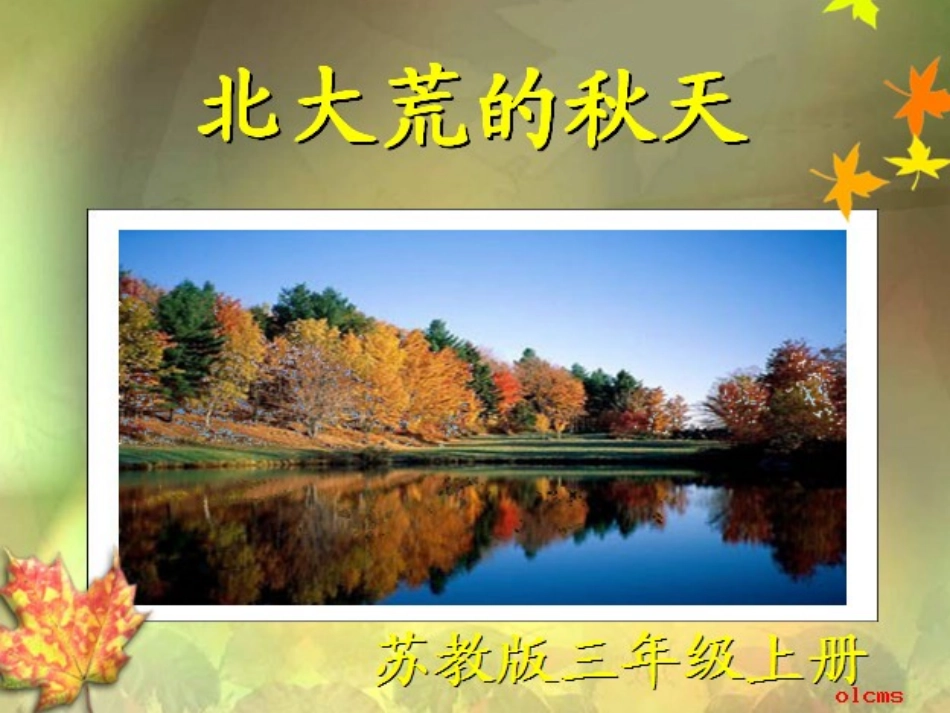 《北大荒的秋天》_第1页