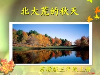 《北大荒的秋天》