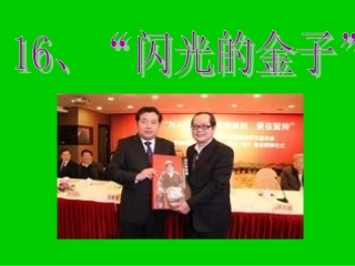 （中小学精品）“闪光的金子”课件