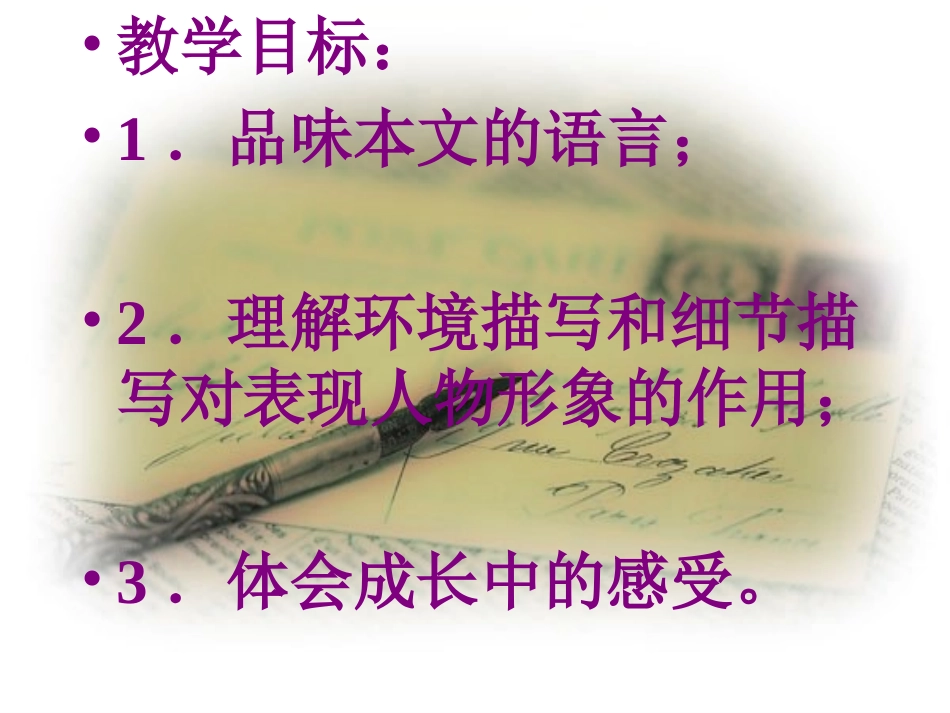 《孤独之旅》_第2页