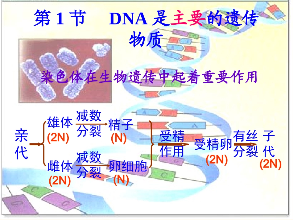 DNA是主要的遗传物质_第1页
