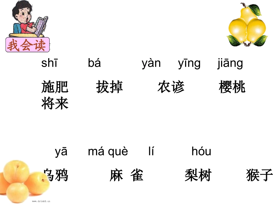 猴子种树课件_第2页