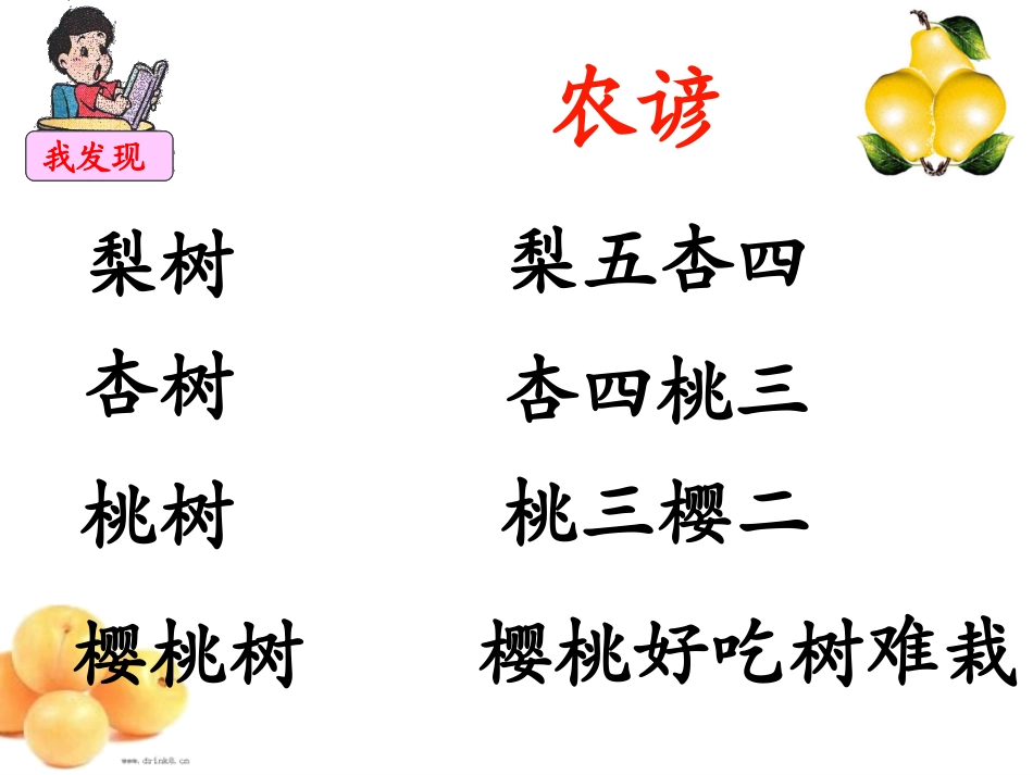 猴子种树课件_第3页