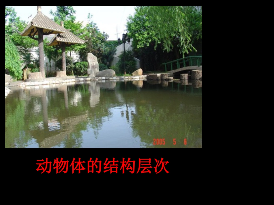 动物体的结构层次_第3页