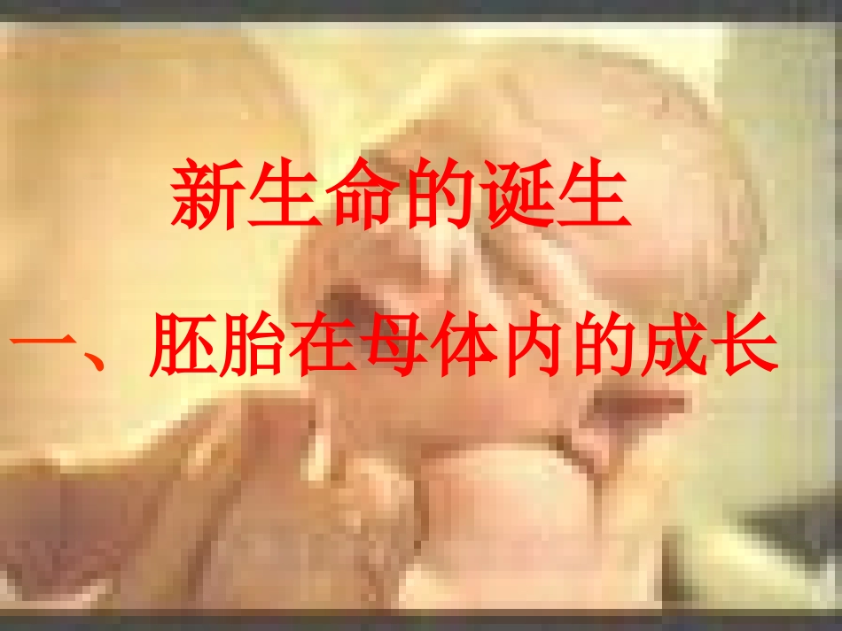 新生命的诞生_第1页