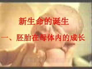 新生命的诞生