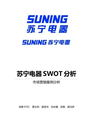 苏宁电器市场营销环境分析