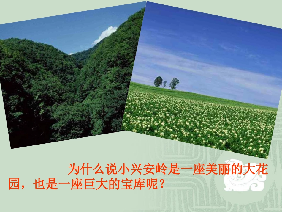 （中小学精品）美丽的小兴安岭PPT_第2页