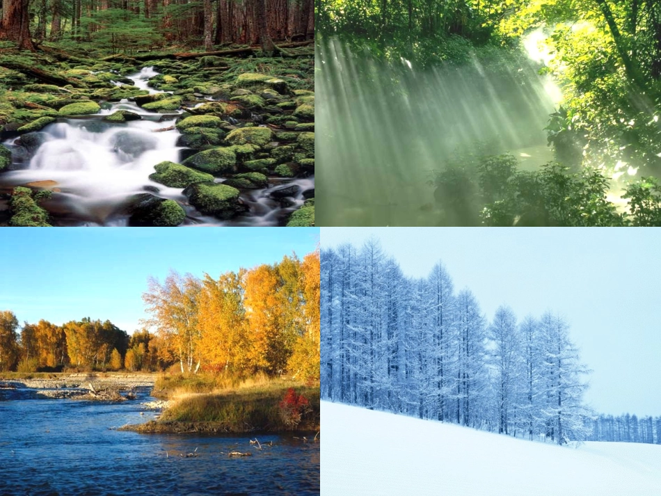 （中小学精品）美丽的小兴安岭PPT_第3页