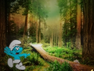 大树桩你有几岁