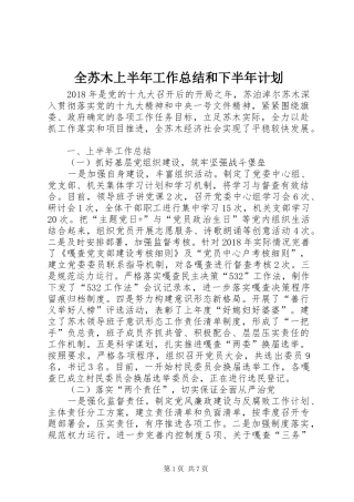 全苏木上半年工作总结和下半年计划