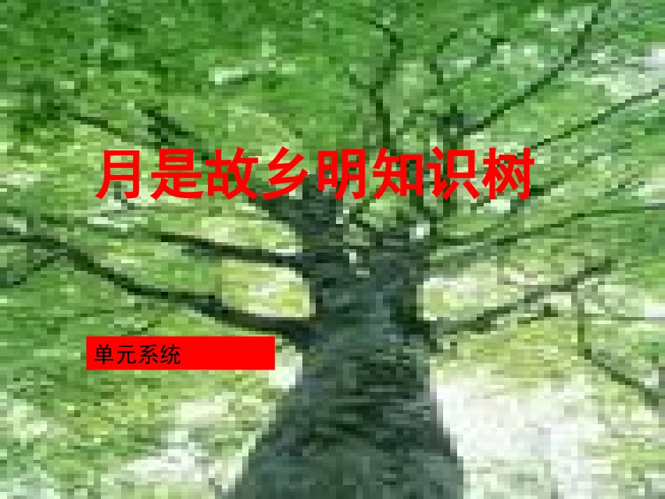 （中小学精品）月是故乡明知识树_第1页