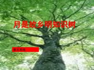 （中小学精品）月是故乡明知识树