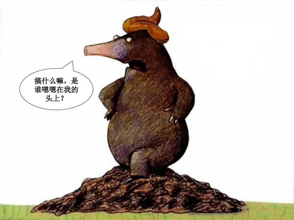 中班绘本教学：《是谁嗯嗯在我的头上》_第3页