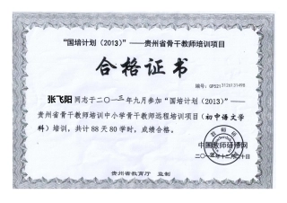 国培骨干教师培训