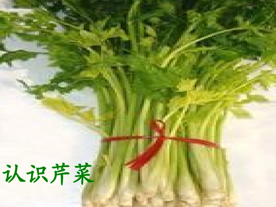 中班健康活动《好吃的芹菜》_第2页