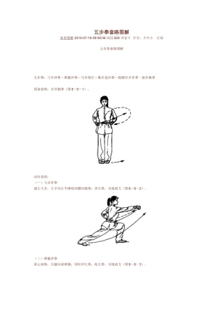 五步拳套路图解