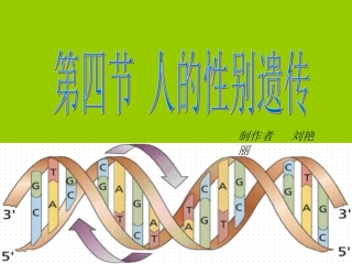 人的性别遗传[刘艳丽]