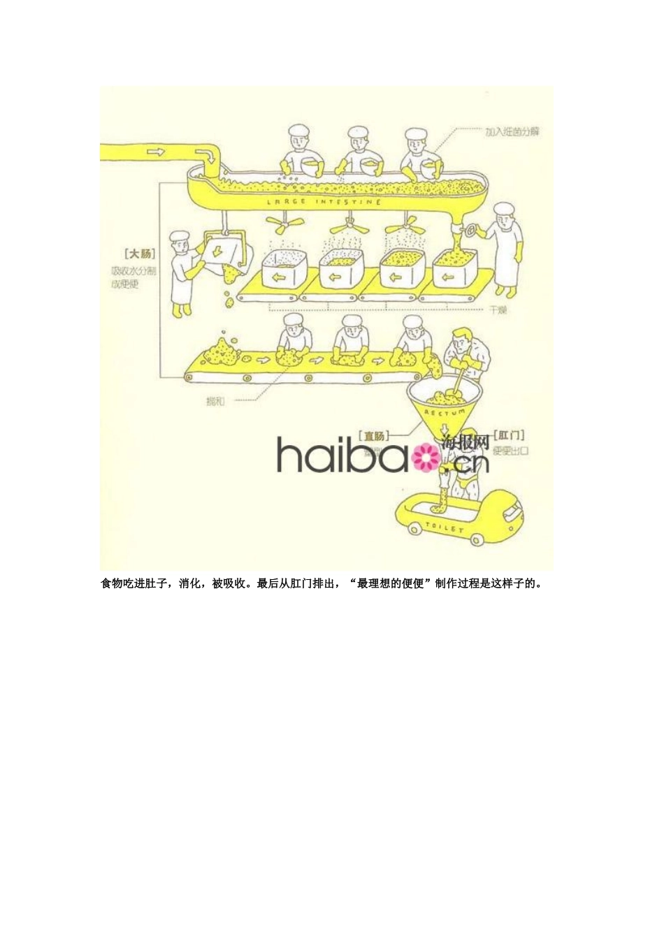 日本超畅销新健康自测手绘本_第2页