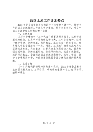 县国土局工作计划要点
