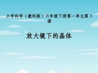 放大镜下的晶体