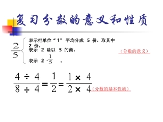 分数的意义和性质整理和复习