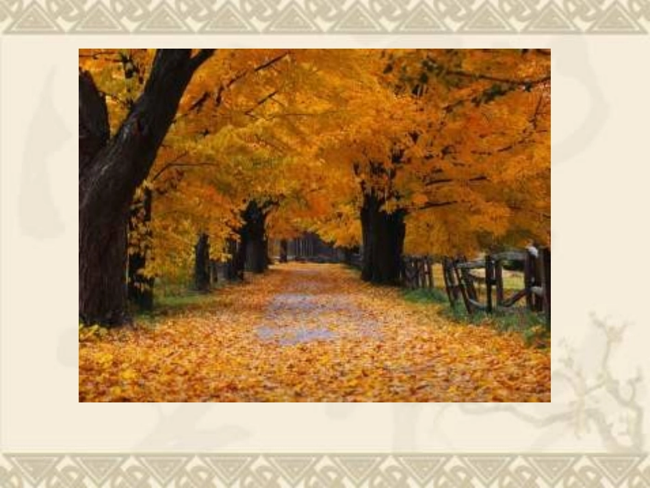 二年级品生品社下册第二课时课件_第3页