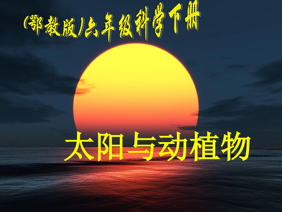 鄂教版六年级科学《太阳与动植物》_第1页