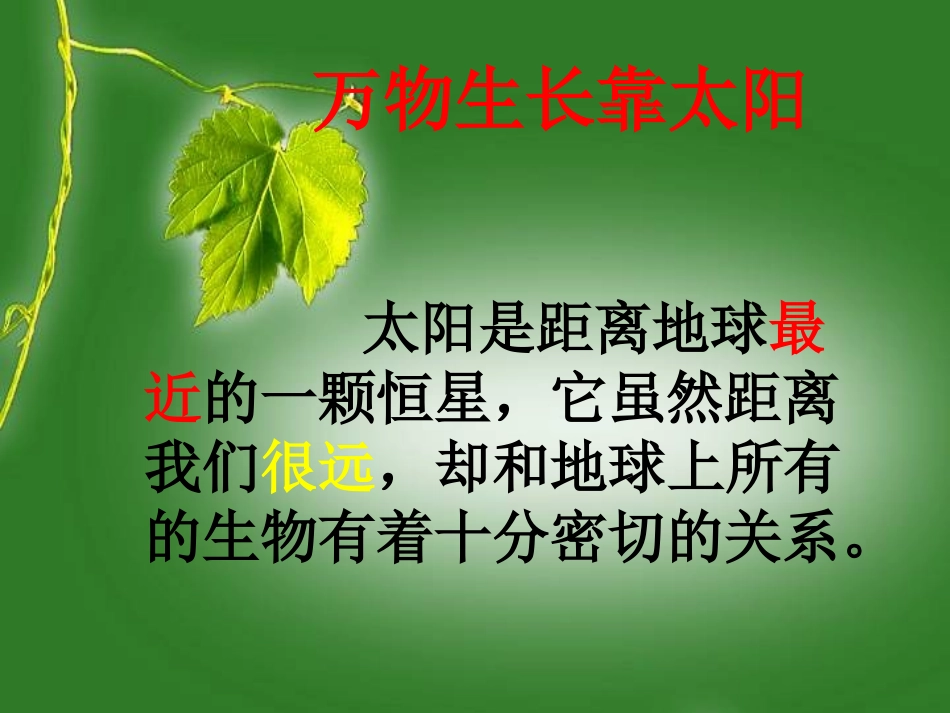 鄂教版六年级科学《太阳与动植物》_第2页