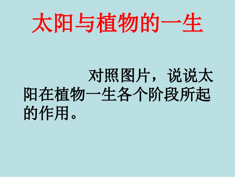 鄂教版六年级科学《太阳与动植物》_第3页