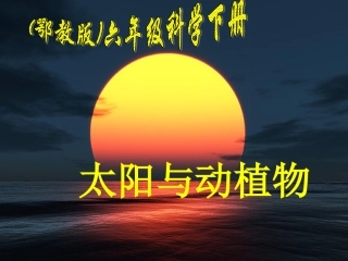 鄂教版六年级科学《太阳与动植物》